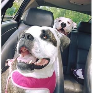 Meet your Posher, Tara